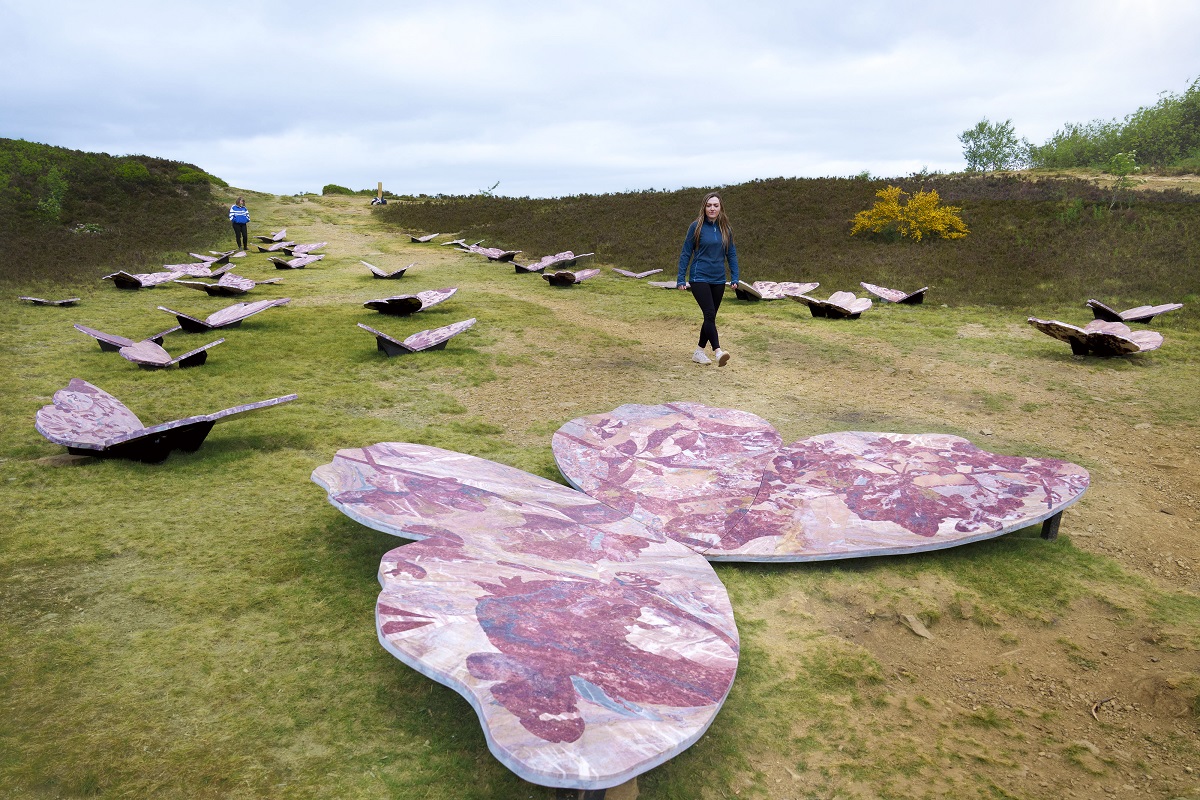 Wild Uplands
